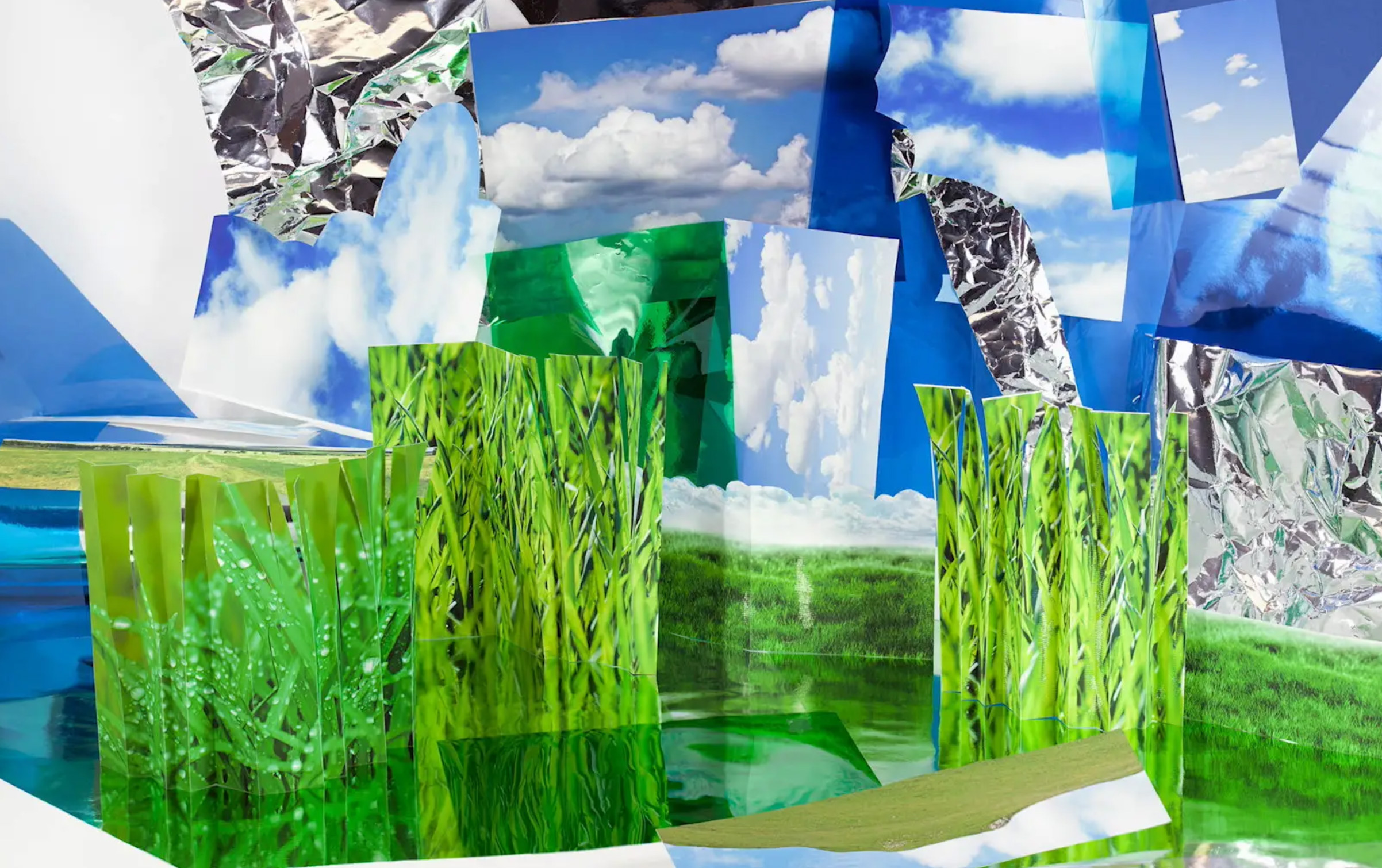 Landscape Sublime - Scholl Creative