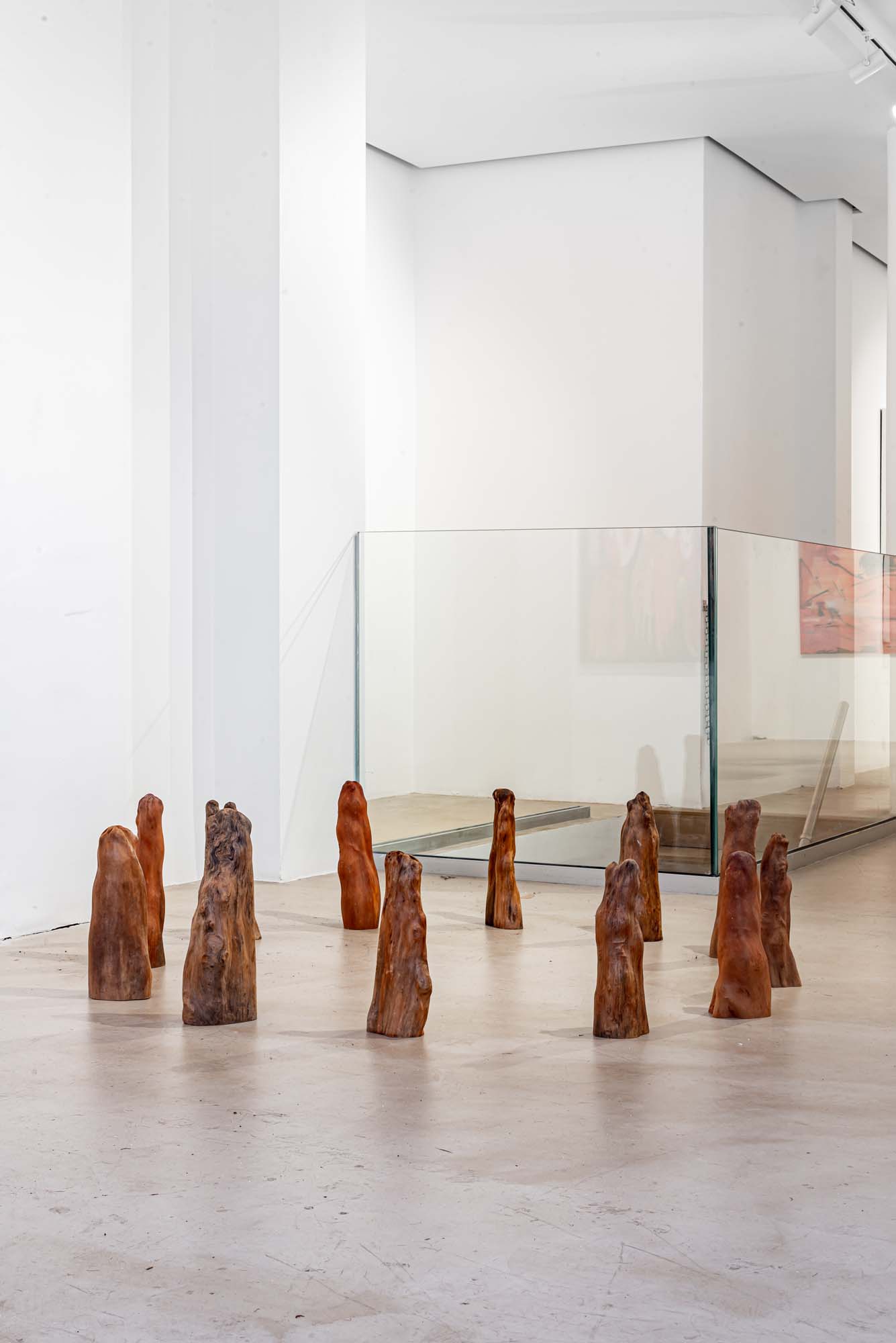 Dennis Scholl Pictorum Gallery Embodied Selfhood 2024 Instalation Cypress Knees Dennis Scholl Pictorum Gallery Embodied Selfhood 2024 Instalation Cypress Knees